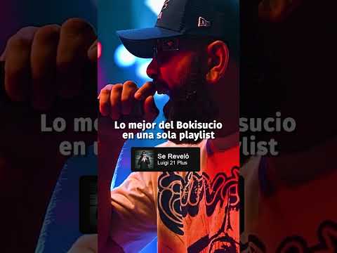 Gata Oficial, Daga Adicta, Los Favoritos 🔥 El Bokisucio — playlist completa en el canal #shorts