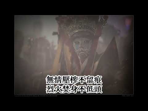 野草 (新北市新莊區地藏庵夜巡)