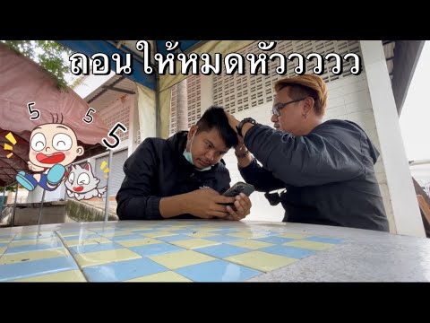 เจ้าเดิมเจ้าประจำpignotนัทตี