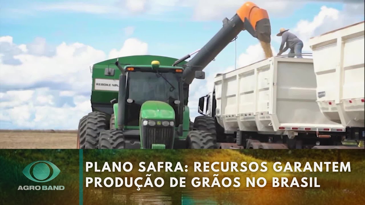 Plano Safra: recursos garantem produção de grãos no Brasil