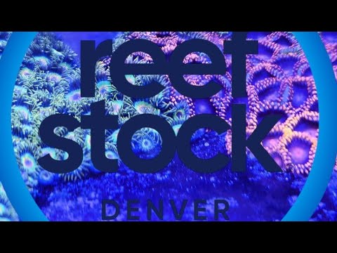 Reefstock, Denver 2024! Stunning Corals and Amazin Reefstock in Denver was my first travel show of 2024 and turned out to be an excellent show. There w