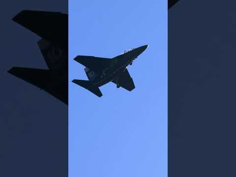 SCREAMING TURBINES! 🚀 Giant RC M-346 Dirty Pass [RAW SOUND] #short #shorts