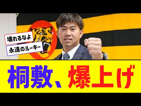 阪神・ルーキー桐敷、2.6倍増の8800万円！ 両リーグトップ70試合登板で爆上がりｗｗｗｗ【なんJ反応】