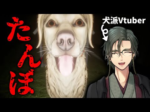 thumbnail_YNL5nhPTHKs
