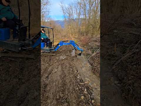 $1999 Mini Excavator vs River