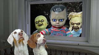 動画サムネイル