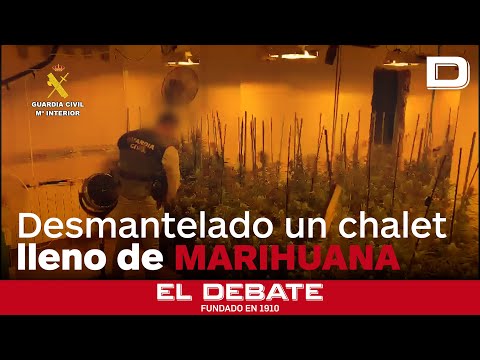 La Guardia Civil desmantela en Valencia un narcochalet en el que se cultivaba marihuana