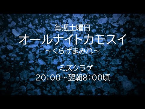 加茂水族館のクラゲライブ配信｜癒やしのミズクラゲ映像 サムネイル