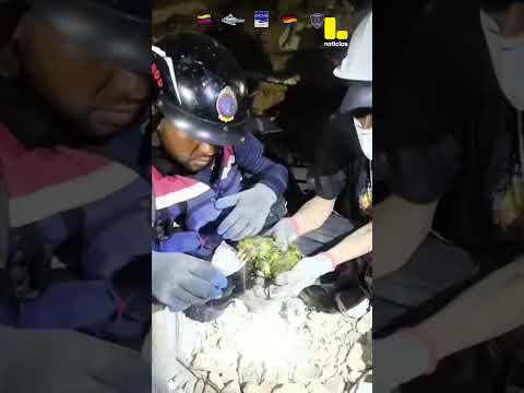 Bomberos rescatan a 'Panchito', un loro atrapado en los escombros tras doble terremoto en Venezuela