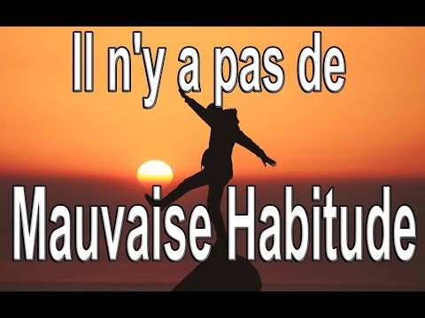Il n'y a pas de MAUVAISES habitudes (cette vérité vous changera la vie)