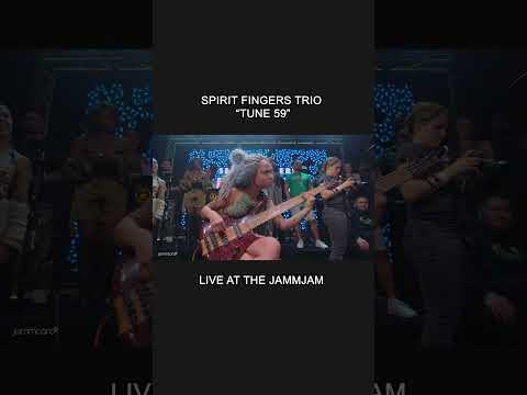 Spirit Fingers Trio LIVE | Tune 59