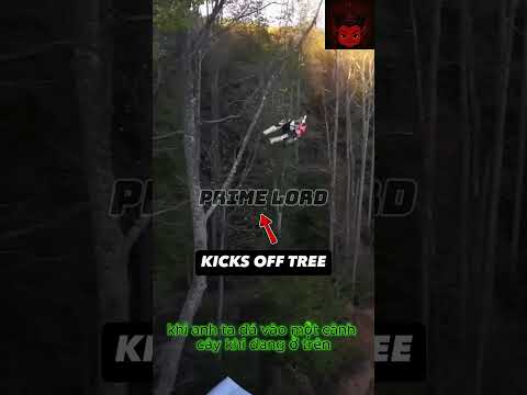 Hãy yêu cây xanh #shortvideo #biker #tree