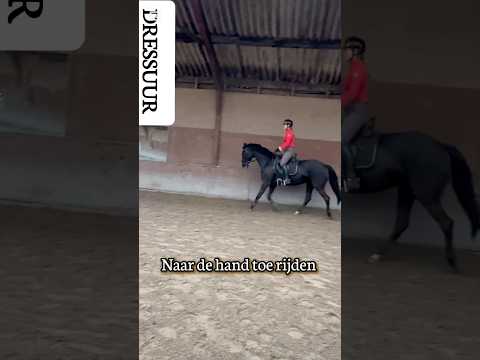 Aanleuning vanuit het paard #dressage