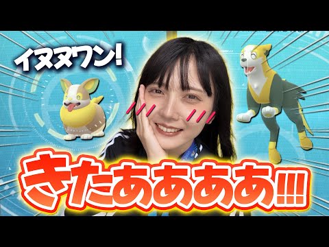イヌヌワン!!いよいよ本日からワンパチ新実装きたあああ！！！【ポケモンGO】