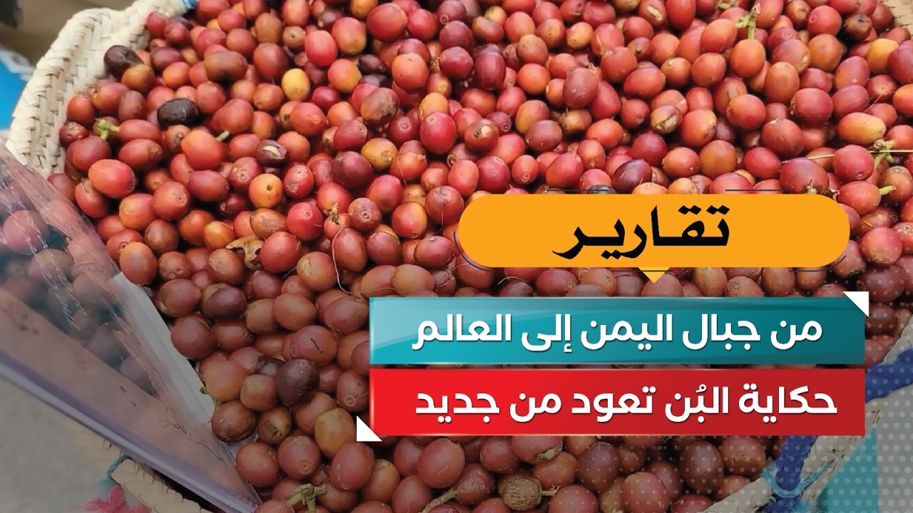 قناة السعيدة