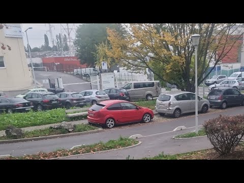 qazi vlog france city of love birds ❤️🌹