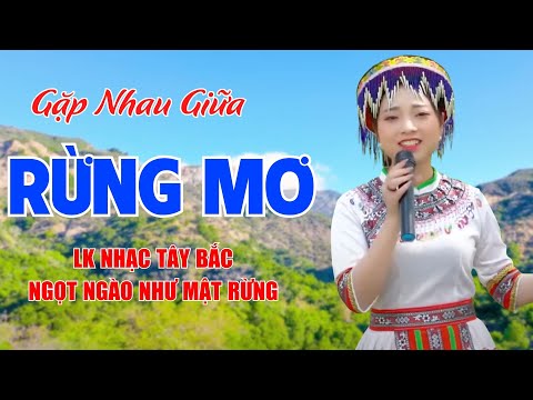 Gặp Nhau Giữa Rừng Mơ, Chiều Lên Bản Thương - LK Nhạc Tây Bắc Ngọt Ngào Như Mật Rừng - Ngọc Khánh