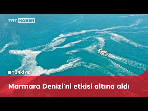 Marmara kıyılarındaki müsilaj havadan görüntülendi