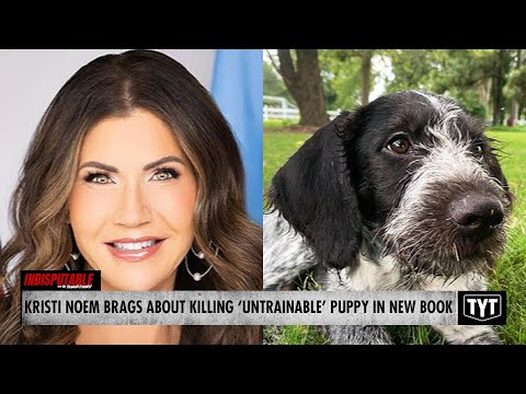 MAGA Governor Brags About Killing Puppy She 'Hated' In Gravel Pit