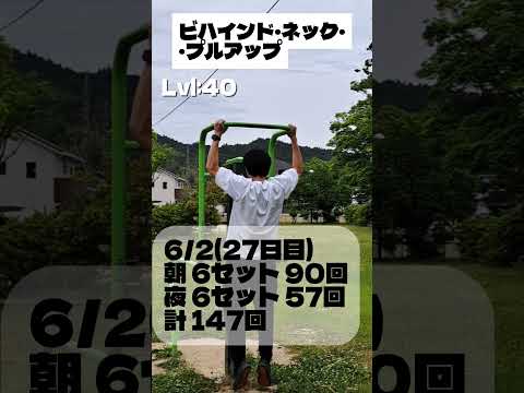 6/2(27日目)朝 6セット 90回夜 6セット 57回計 147回合計 3446/36500残り338日 ビハインド・ネック・プルアップLvl:40365日筋トレ、懸垂36500回を目標に。