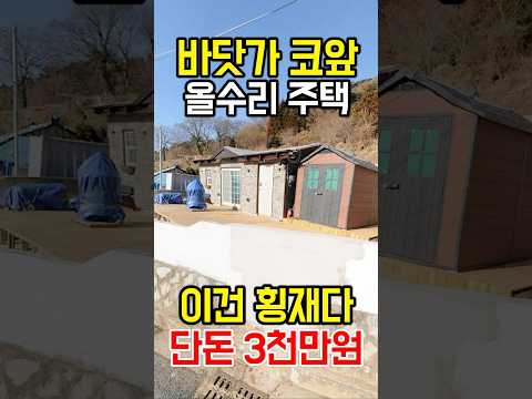 바닷가 코앞 올수리 주택