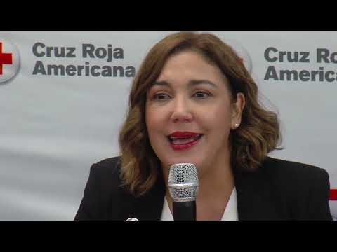 Cruz Roja y organizaciones profesionales se unen para fortalecer la salud mental