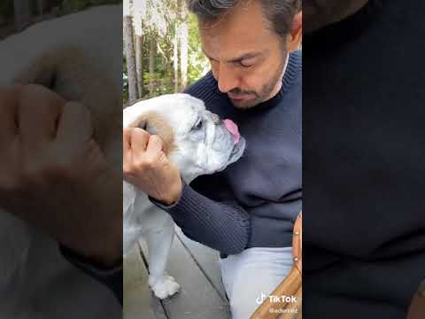 Eugenio Derbez en Tik Tok