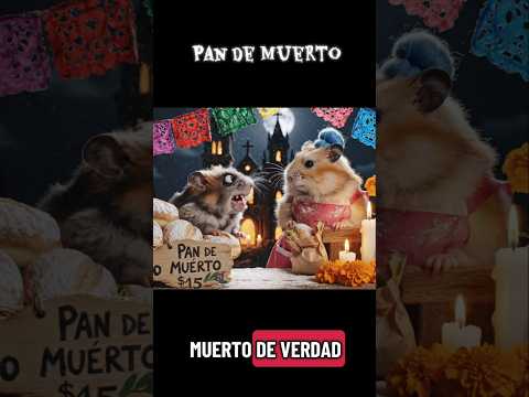 Comprando pan de muerto #pandemuerto #hamsters #mexico #2denoviembre #humor #comedia #comida #pan