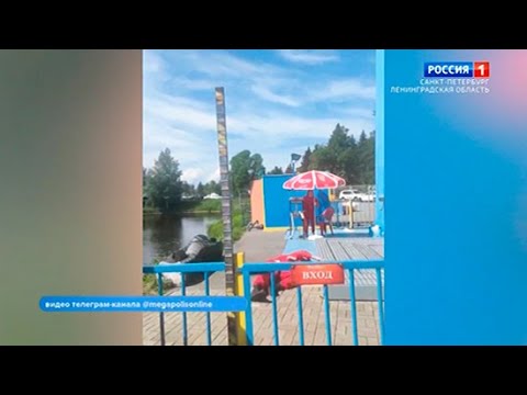 Утро России. Санкт-Петербург от 08.06.2021