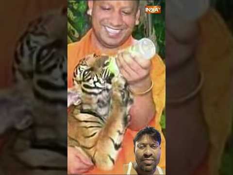 aapki ek #tasvir I ek tenduye ke bacche ko uthaya #aur usko dudh pilaya