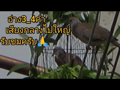 อ่างคับอ่าง3-4คำเสียงกลางไปใหญ