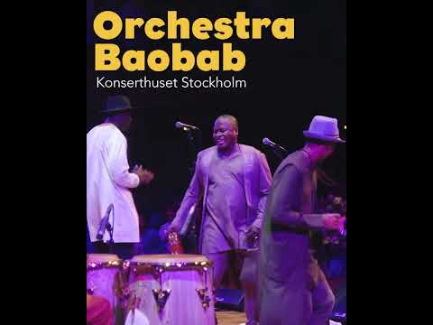 Orchestra Baobab - Selam 25 år #shorts