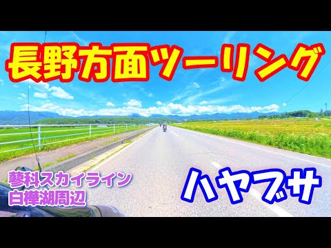 【長野ツーリング】バイク屋さんグループの仲間と長野方面にツーリングに行ってきました。蓼科スカイライン、白樺湖周辺を走ってきました(モトブログ)