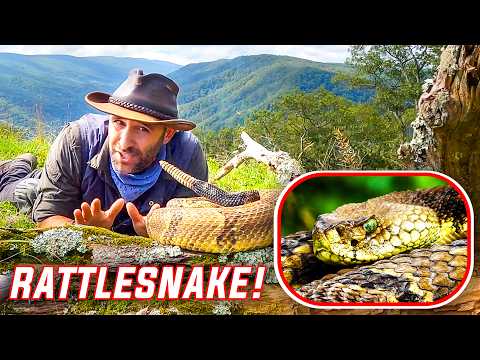 Craziest Cold-Blooded Catches of Coyote's Career!