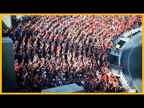 Ultras Winners : AMIGO CANTARE (LIVE)