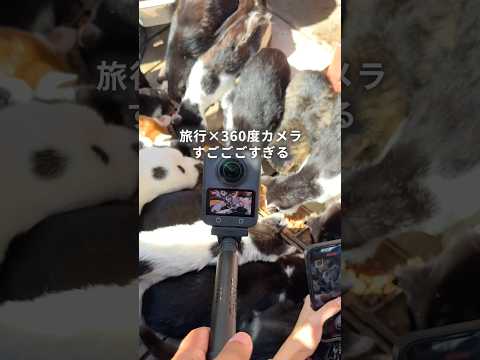 旅行で新感覚の思い出を残せた最新カメラ！