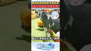 躲貓貓果然最危險的地方最安全 #mecchachameleon #薬袋アルマ #Vtuber精華