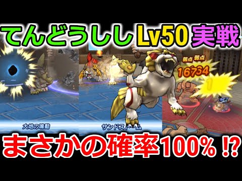 【ドラクエウォーク】てんどうししLv50を実戦で使ってみた結果・・！これは、使える？使えない？発動率100%の技も！