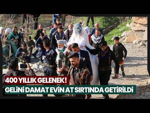 Unutulmaya Yüz Tutan Geleneği Yaşatılıyor…Gelini Ata Bindirip Damat Evine Götürdüler