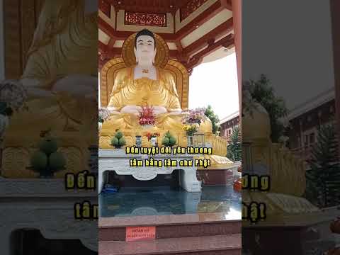 HÃY ĐỂ TÂM TĨNH LẶNG NHƯ MẶT HỒ KHÔNG GỢN SÓNG