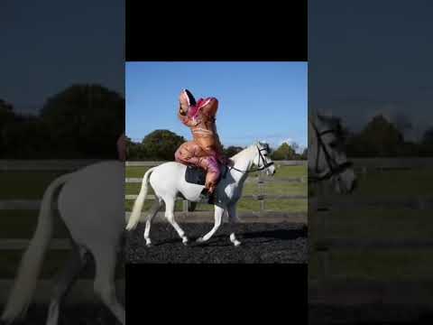 World’s Most Bombproof Pony! Jumping My Horse In An Inflatable Dinosaur Costume