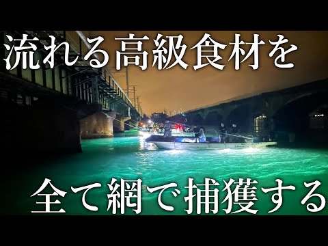 高級食材を一網打尽！湖の河口に流れる生き物を全て網ですくう［えびすき漁］を調査しました