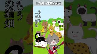 『猫国』
