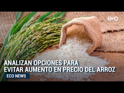 Analizan opciones para evitar aumento en precio del arroz | Eco News