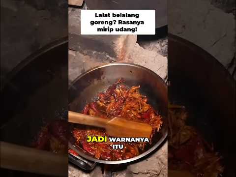 Belalang goreng bikin ngiler #dedeinoen #makan #food #shortvideo