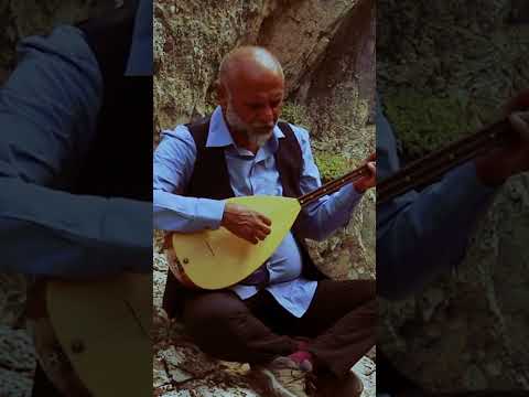 Yılmaz Çelik - Saqê Lenge #shorts
