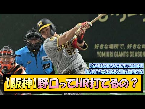 【阪神】野口ってHR打てるの？【なんJ/2ch/5ch/ネット 反応 まとめ/阪神タイガース/岡田監督/野口恭佑/豊田寛】