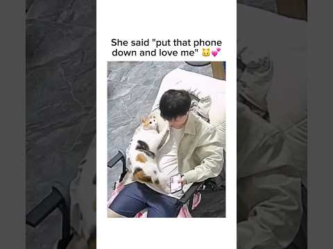 She said put that phone down and love me 🐱💕 #shorts