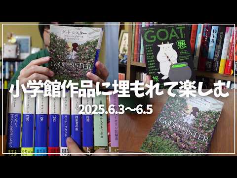 【読書Vlog】小学館作品に埋もれて楽しむ。ミステリー小説好きの読書と仕事の3日間ルーティーン#37【6/3～6/5】