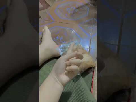 ngày 28 tháng 10, 2025